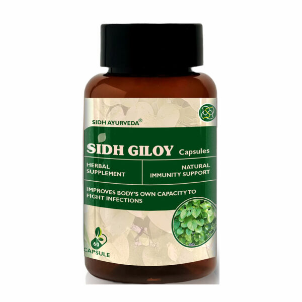 GILOY CAPSULES - 60 Capsules: Pure Giloy Extract for Immunity and Wellness