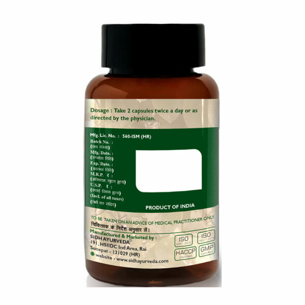 GILOY CAPSULES - 60 Capsules: Pure Giloy Extract for Immunity and Wellness - Image 3